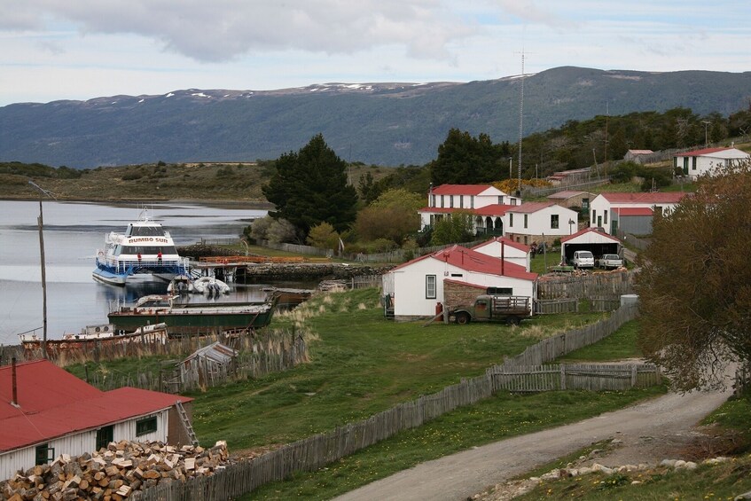 Beagle Channel Catamaran Ride to Penguin Island & Haberton