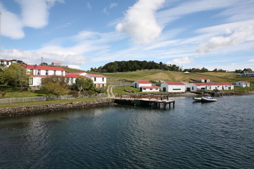 Beagle Channel Catamaran Ride to Penguin Island & Haberton