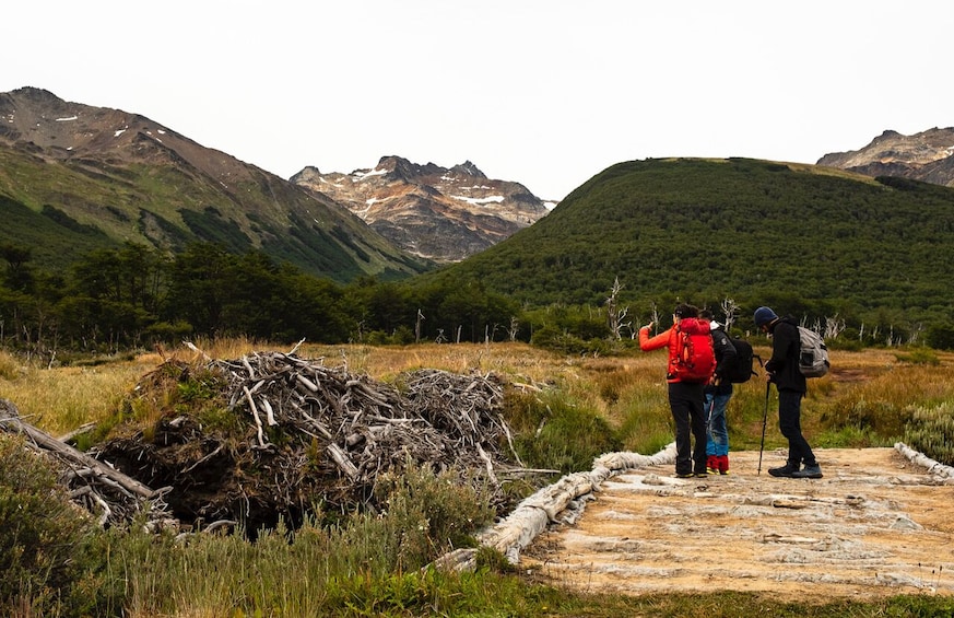 Tierra del Fuego National Park