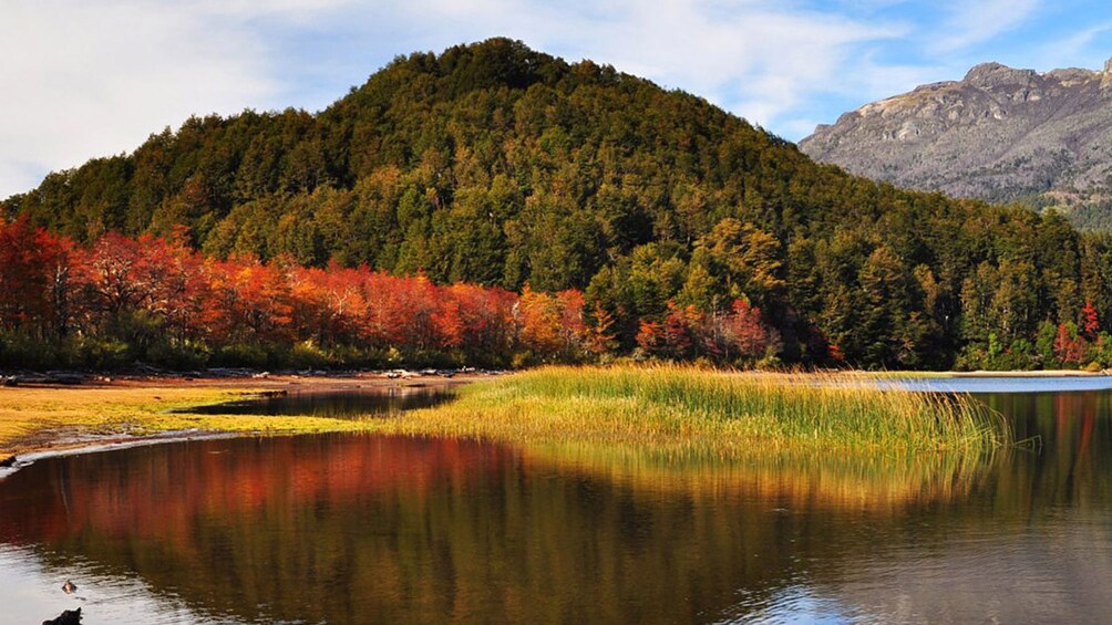 Explore Tierra del Fuego National Park and hike along Ensanada Bay to experience majestic views of the mountains.