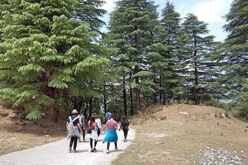 Beautiful nature trail