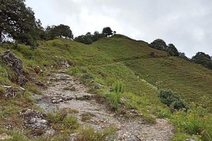 Benog Tibba peak 2,250 m
