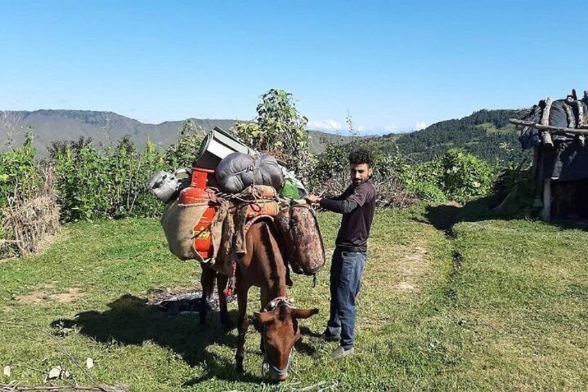 Nag Tibba Snow Trek