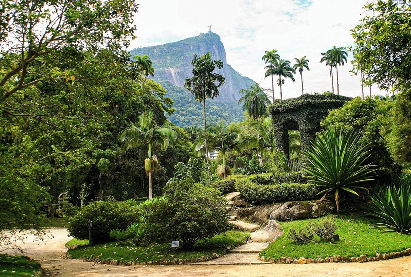 Tijuca Rainforest & Botanical Gardens Jeep Excursion