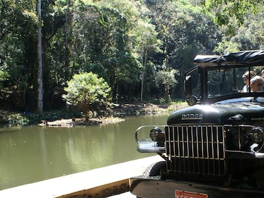 Tour in jeep della foresta pluviale e del giardino botanico di Tijuca