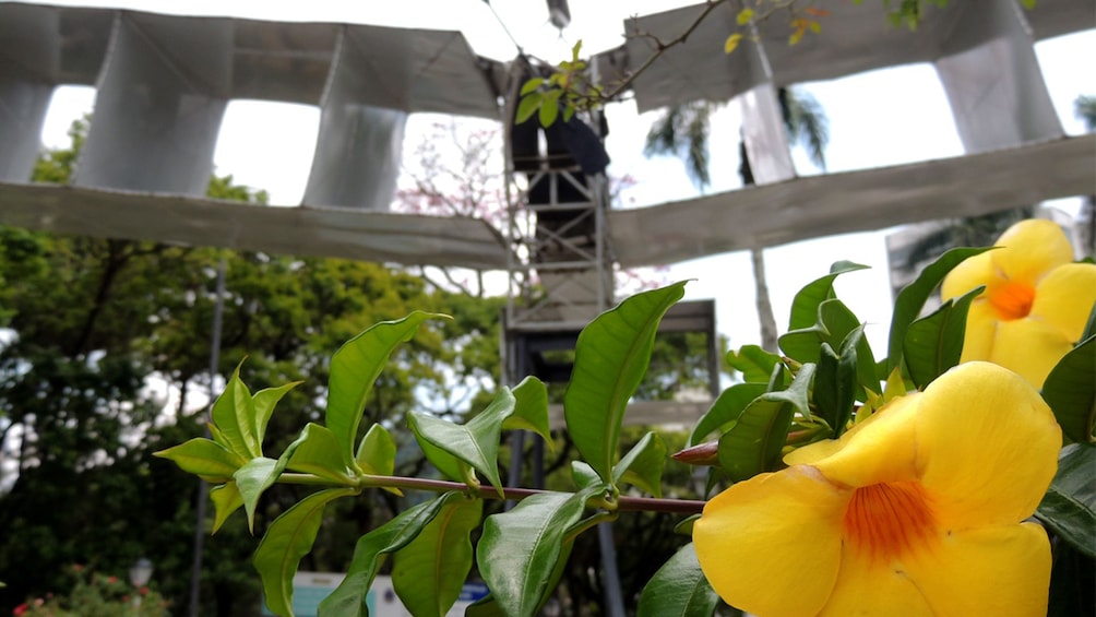 Full-Day Imperial Petropolis Excursion