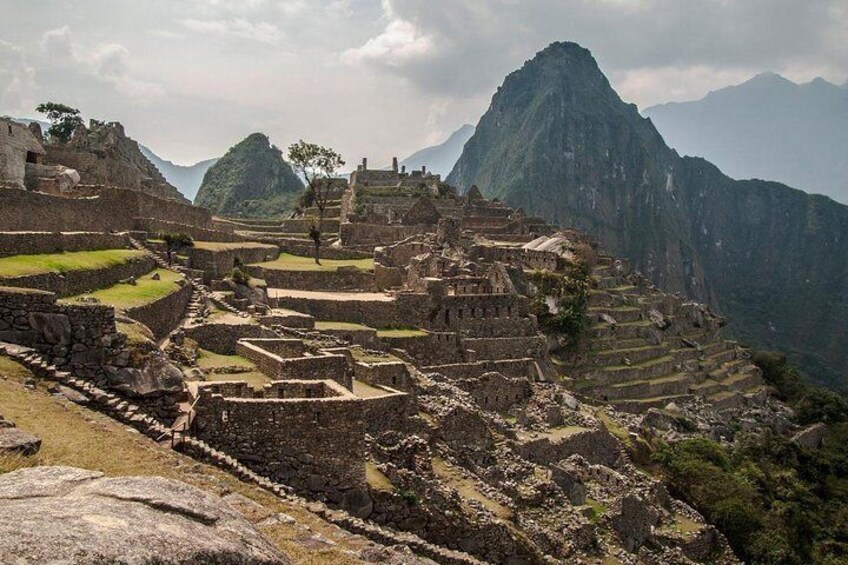 Machu Picchu By Train (Day Trip)