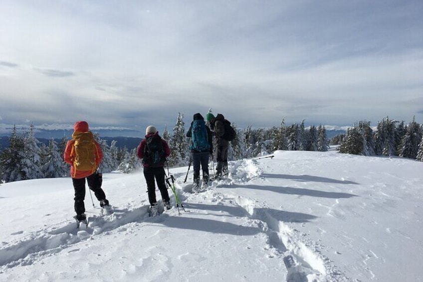 Snowshoeing day trip from Bansko to Rhodope Mountains