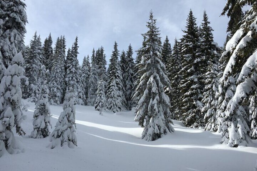 Snowshoeing day trip from Bansko to Rhodope Mountains