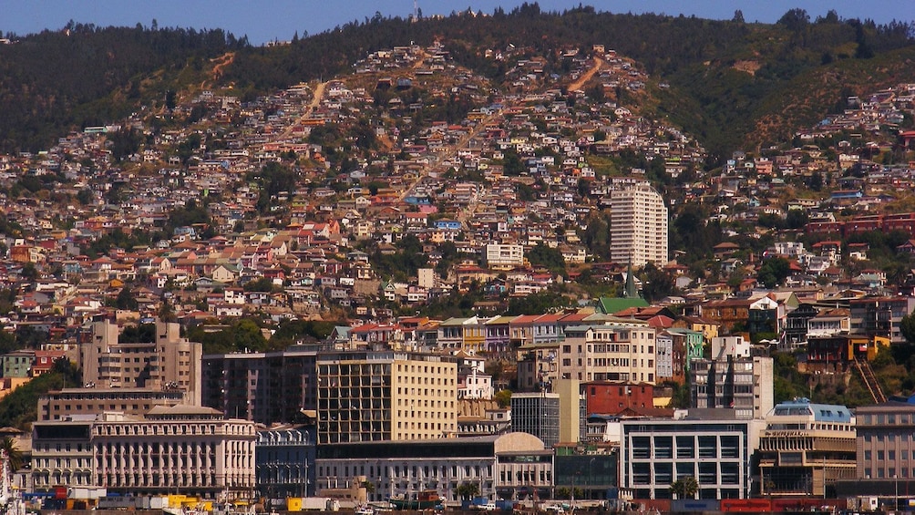 Houses speckling hillside in Vina del Mar