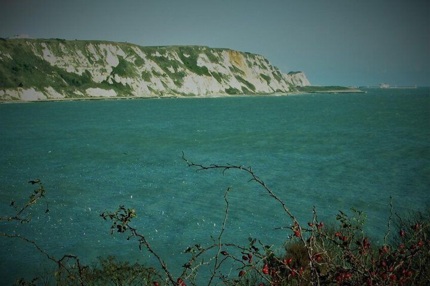 See The White Cliffs of Dover and your Cruise Ship
