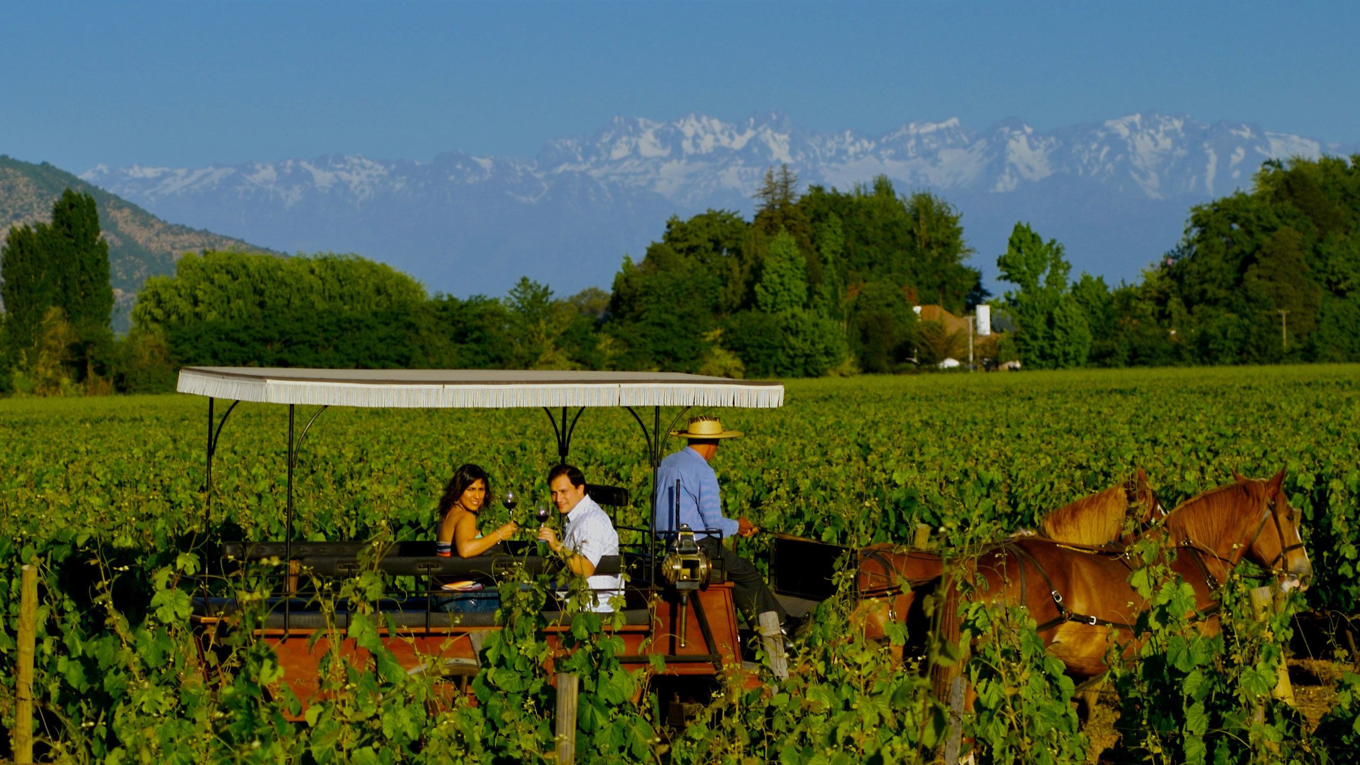 colchagua valley wine tours