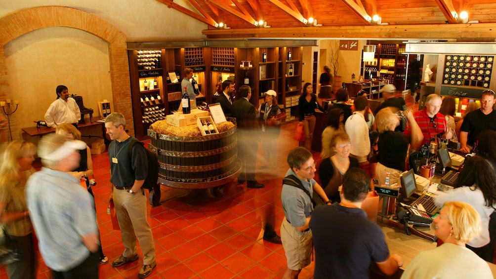 Wine tasting groups at the Concha Y Toro Winery in Santiago