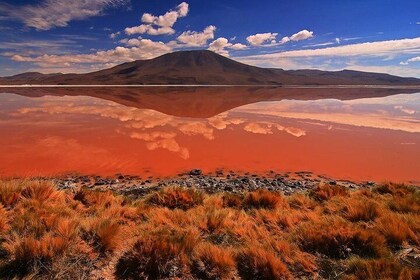 3 Days Uyuni salt flat and coloured lagoons from Uyuni