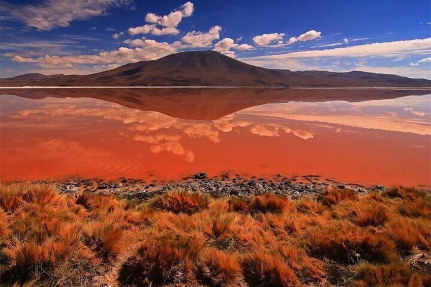 Private 3 Days tour Uyuni Salt Flats and Colorful Lagoons from Uyuni