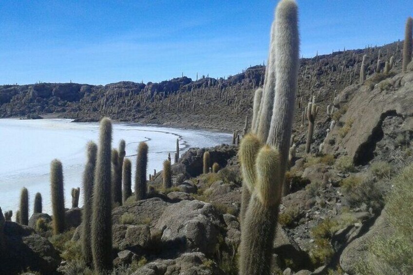 6 Days Private Best of Bolivia Tour from La Paz with Flights VIP