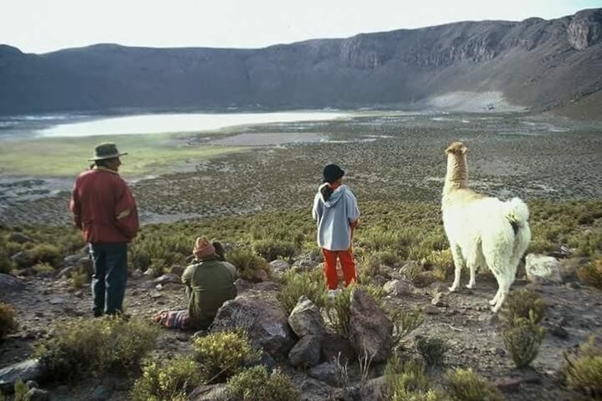 6 Days Private Best of Bolivia Tour from La Paz with Flights VIP