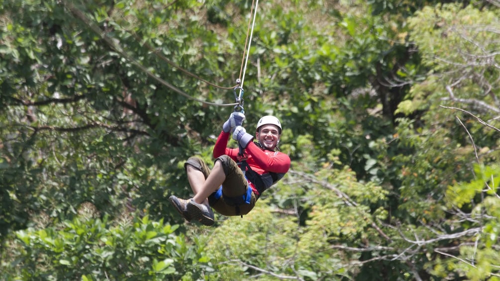 Charger l’élément 1 sur 9. ZIplining man above the trees in Costa Rica