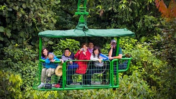 Rainforest Aerial Tram Caribbean