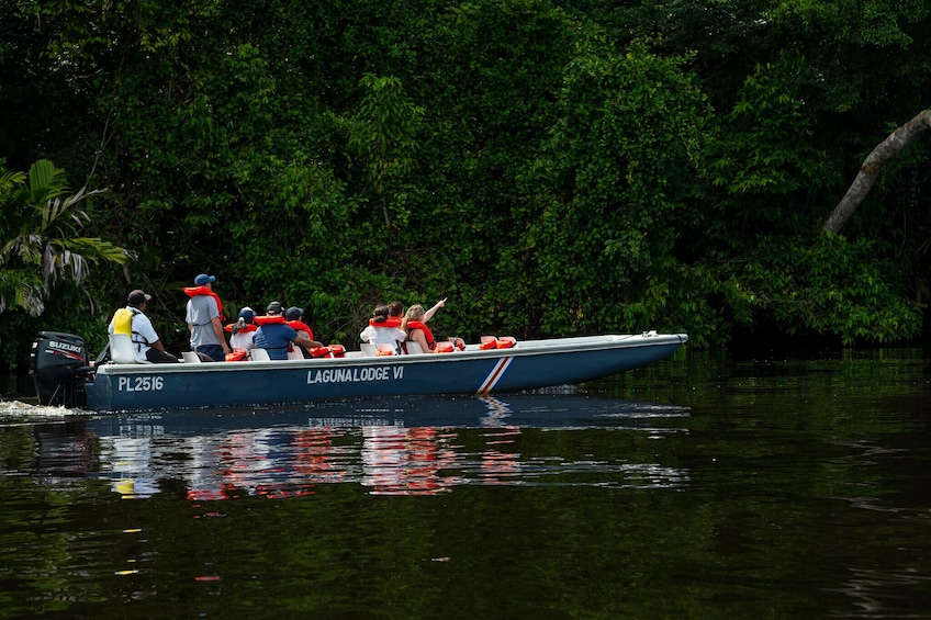 Charger l’élément 3 sur 10. Tortuguero National Park Cruise