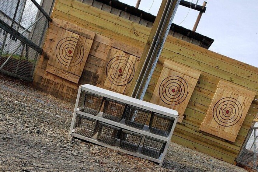 Axe Throwing Training