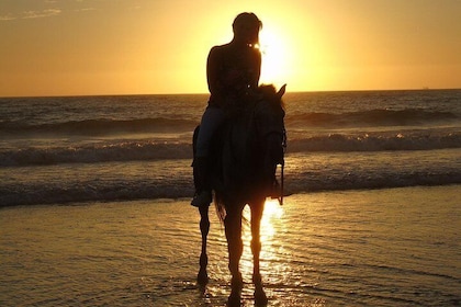 Horse Riding In Agadir