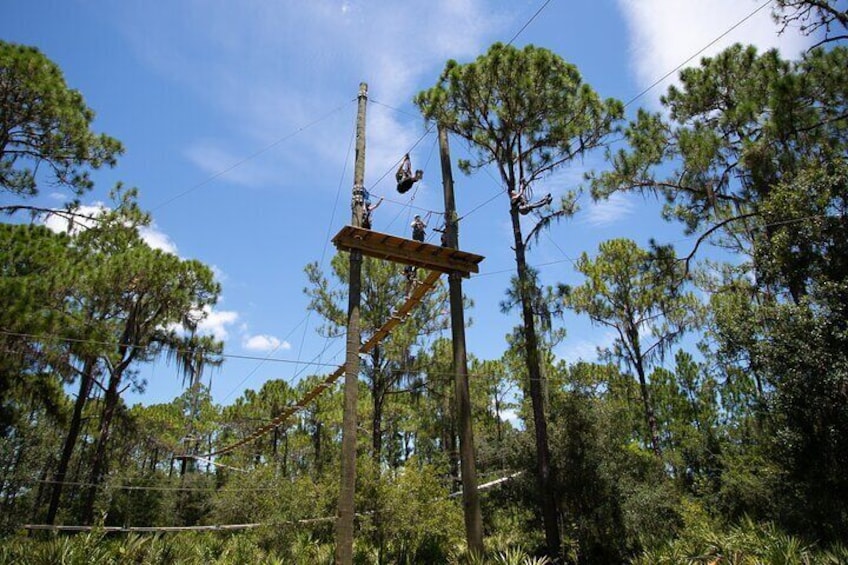 Race your friend down our giant Triumph dual zipline