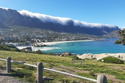 Private Cape of Goodhope & penguin colony