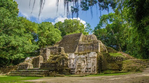 Lamanai Mayan Site & New River Tour
