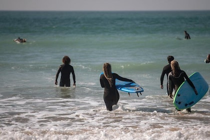 Join our Surf Day trips and learn surfing!