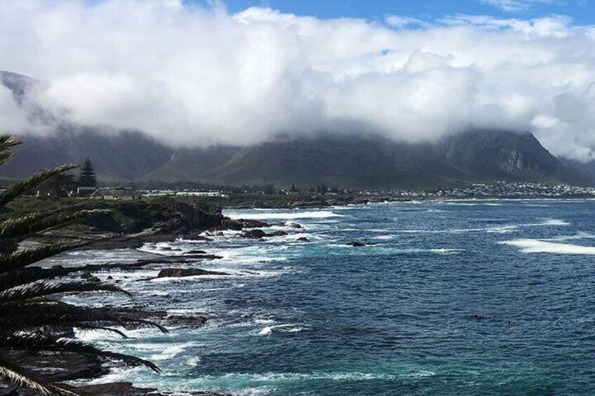 Hermanus