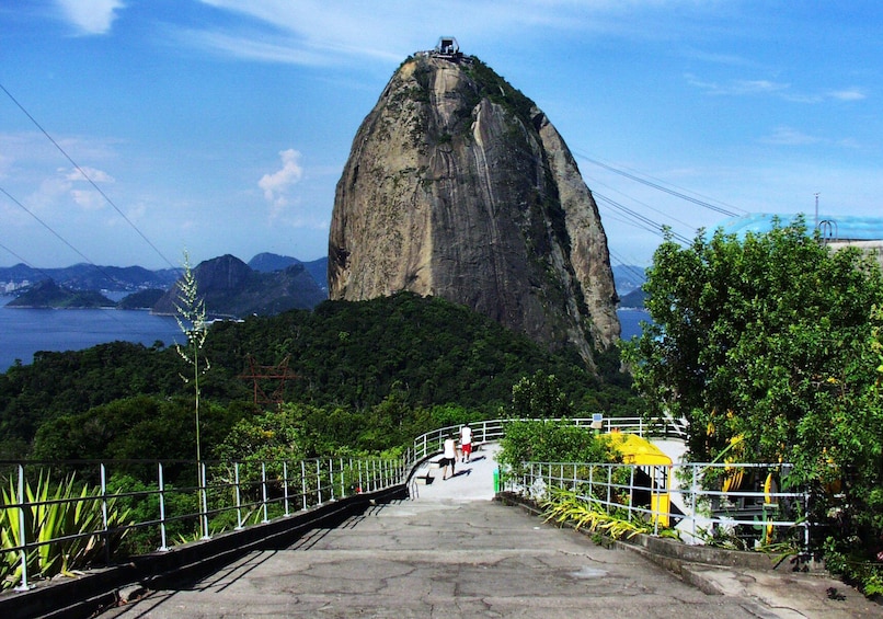 Christ the Redeemer by Train, Sugarloaf Mountain & Downtown