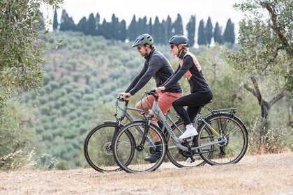 Sightseeing Tuscany by touring bike - 1 day rental
