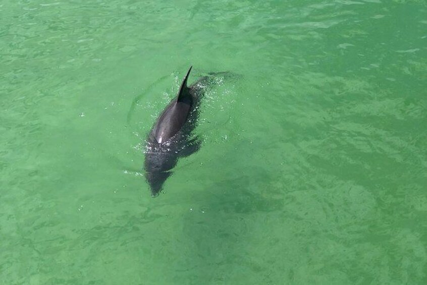 Guided Bike Tour Downtown Naples Florida