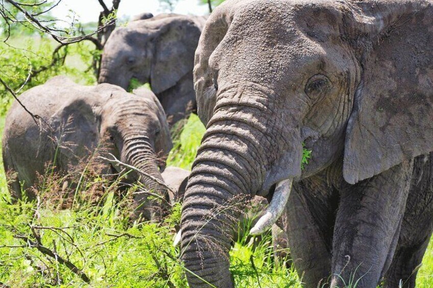 Matopos to Hwange National Park!