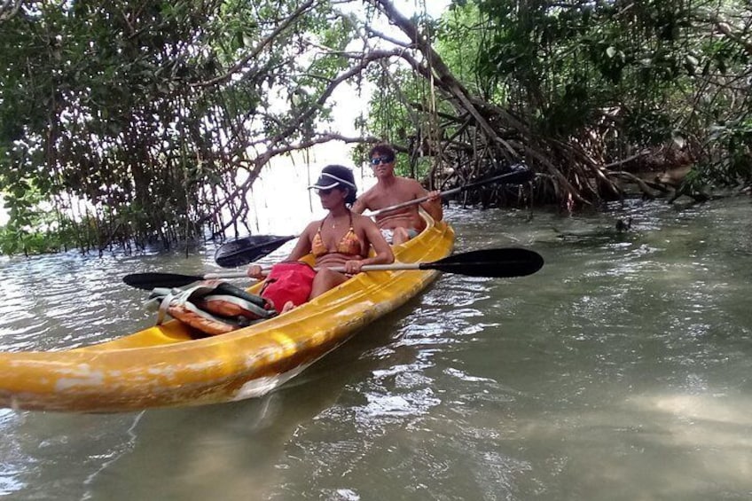 Inside the Mangroves towards the eye of water