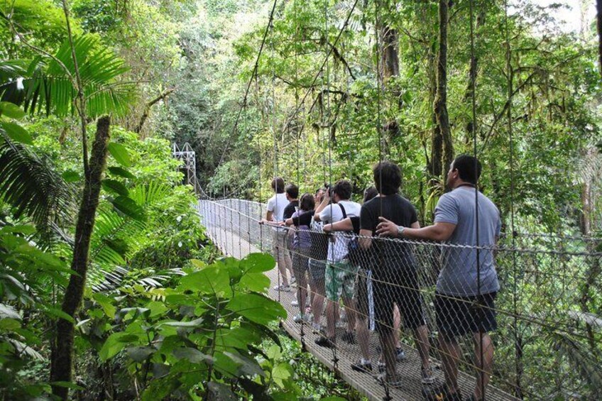 Mistico Hanging Bridges