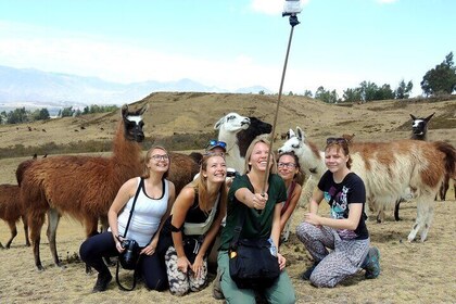 Cochasqui Pyramids, Rose Plantation och Equator Line Day Tour