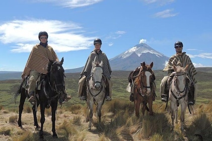 Horseback Riding and Cotopaxi National Park Day Trip