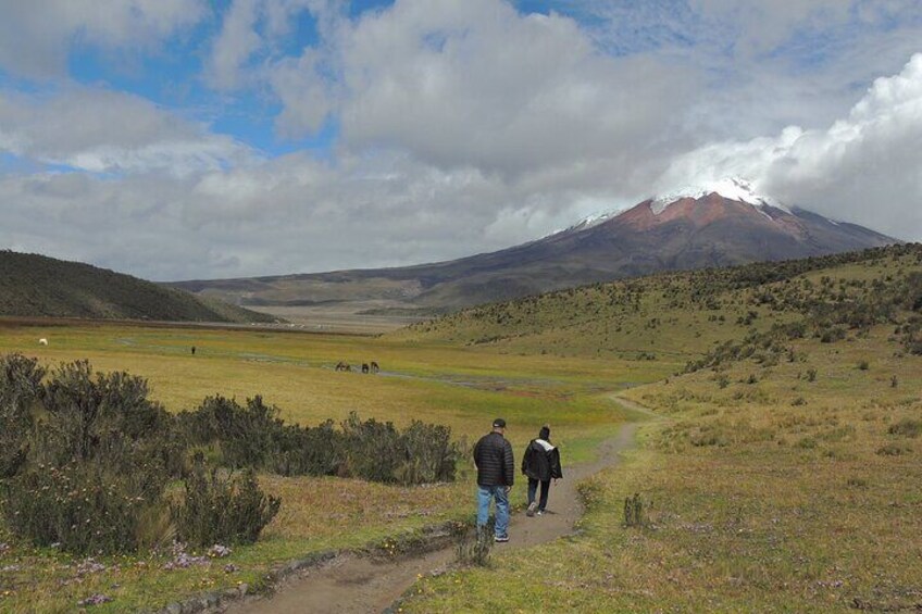 Beautiful Landscapes and Wild Horses!