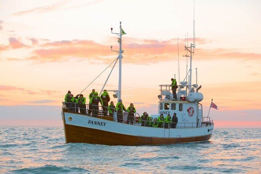 Whale watching boat Fanney.