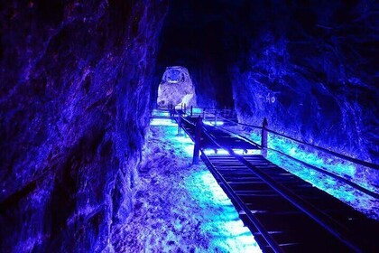 Mijn van Nemocón en de kathedraal van Salt in Zipaquirá (privétour)