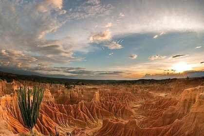 2-Day Private Tour to the Tatacoa Desert from Bogotá