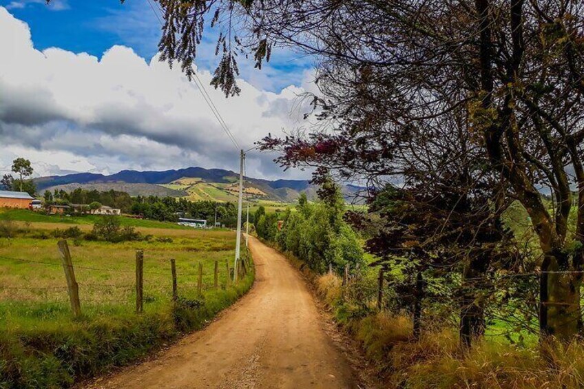 Zipaquira Salt Cathedral and Guatavita Lagoon from Bogota (Private Tour)