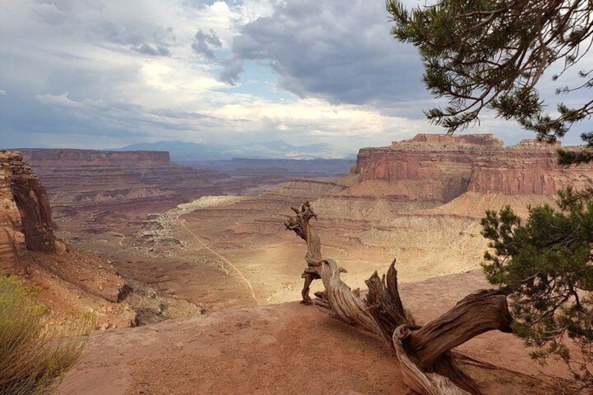 Canyonlands Backcountry 4x4 Half-Day Tour