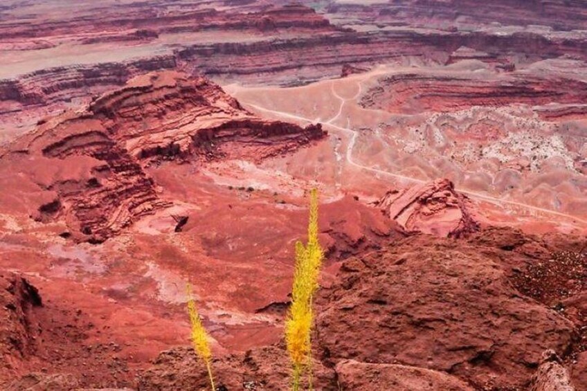 Shafer Trail