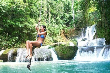 Full-day Tour to Appleton Estate and YS Falls from Montego Bay