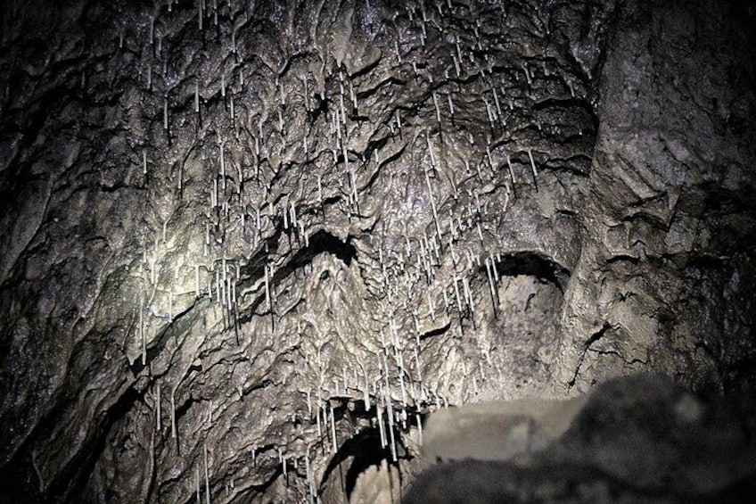 Cave formations like these soda straws and some of the interesting features you will discover in the cave.