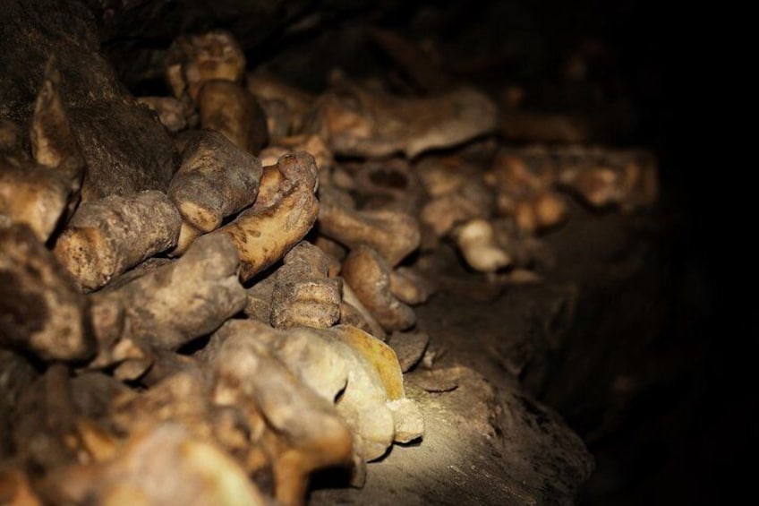 Part of Rat's Nest Cave's rich history includes the presence of bones that are up to 7000 years old.