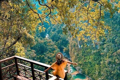 Semuc Champey: Discover Its Paradisiacal Turquoise Waters - Full Day From C...